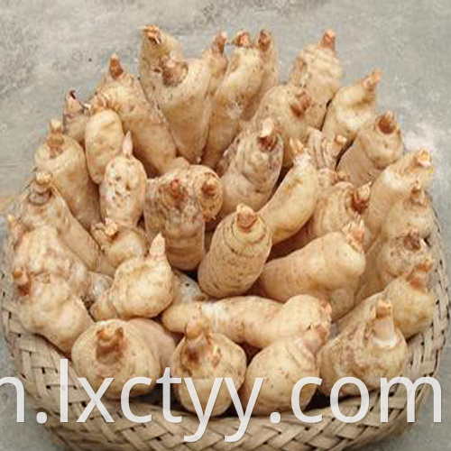 Gastrodia elata Blume food